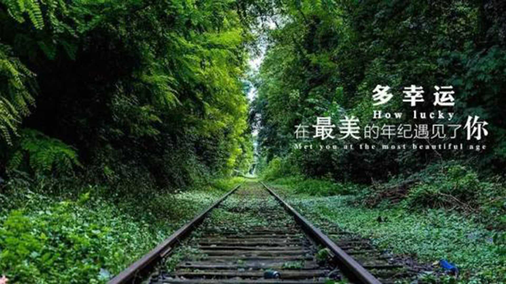 活动图片